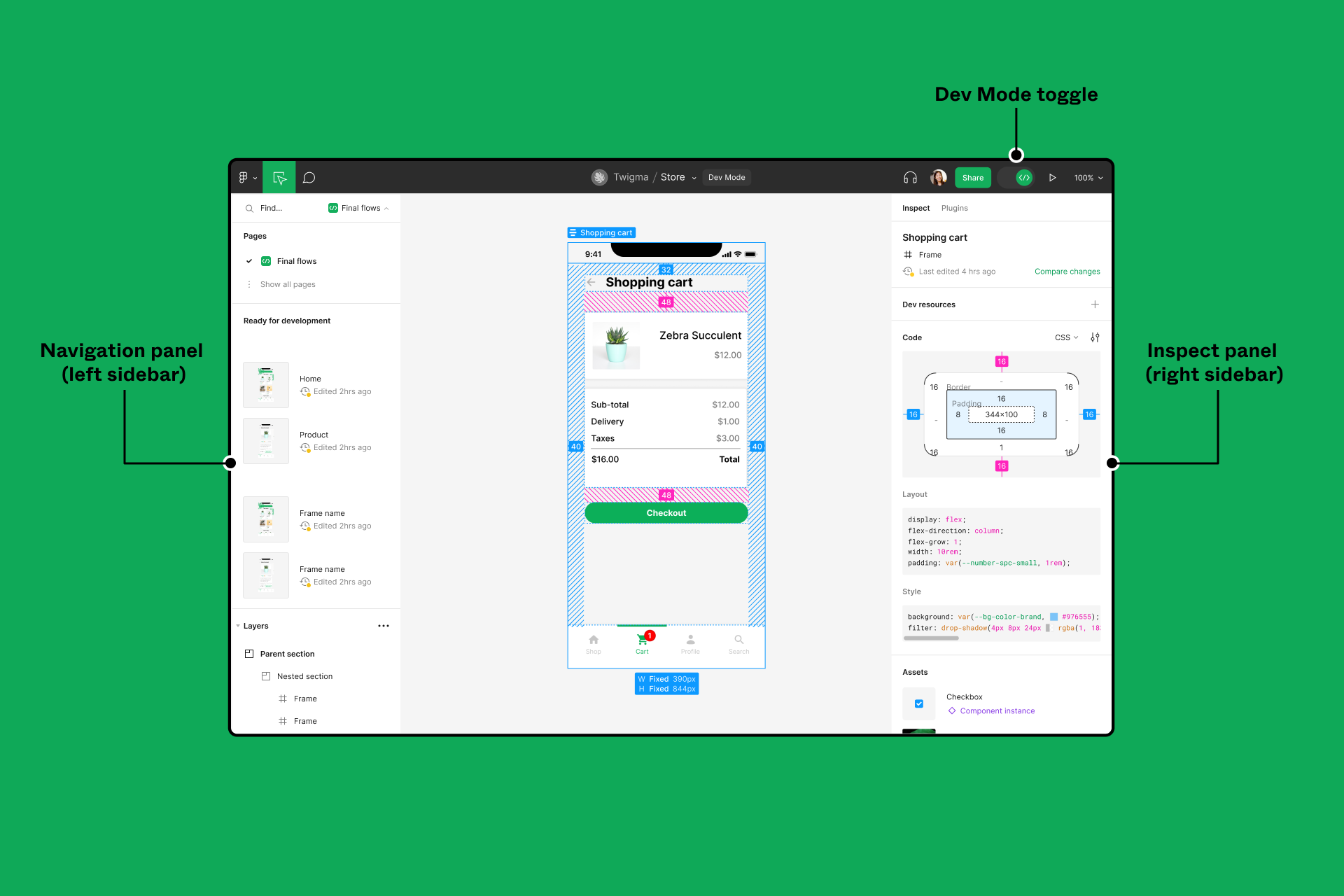 Dev Mode overview